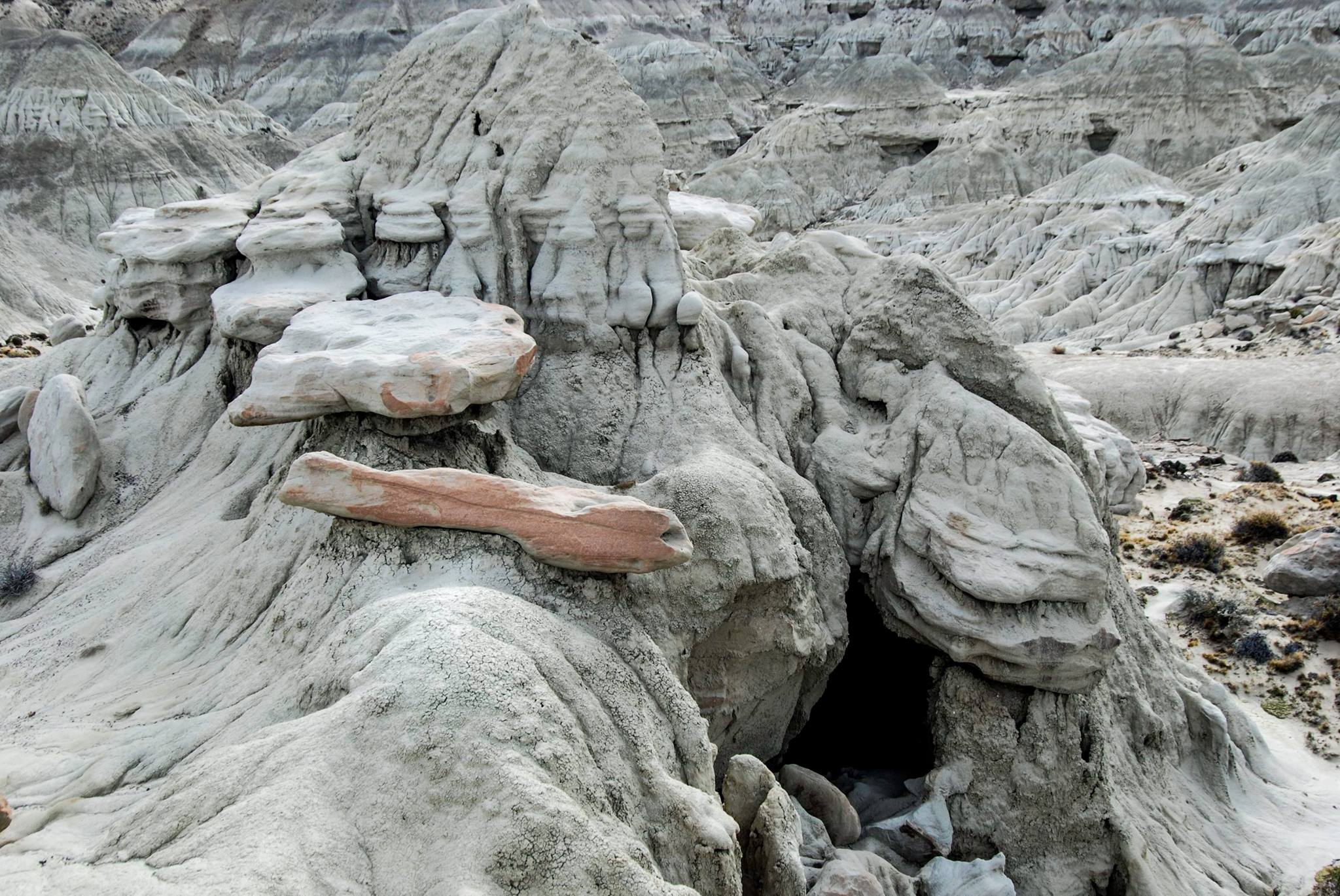Bosque Petrificado La Leona